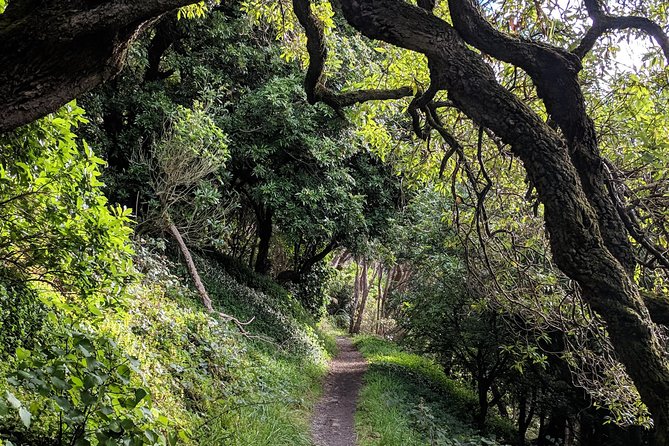 Remutaka Rail Trail Mountain Bike Explorer Cycle Tour - Customer Reviews and Recommendations