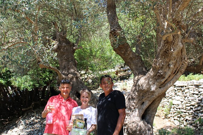 Rethymnon Olive Tree Sponsorship Protect and Plant Tour - Booking Details and Pricing