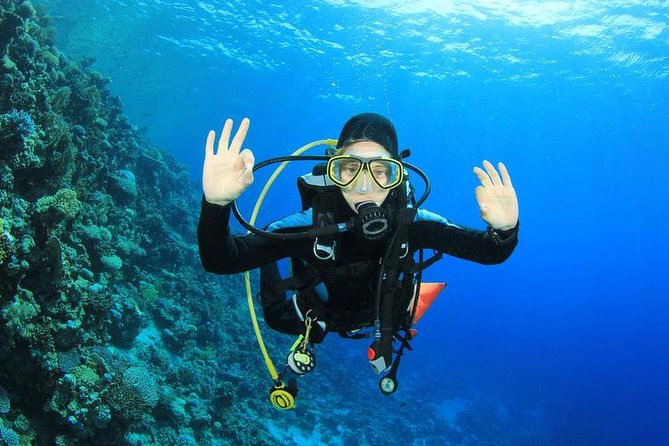 Rhodes Scuba Diving Experience - Equipment and Dive Sites