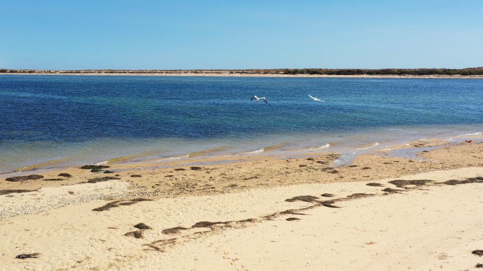 Ria Formosa: Armona and Culatra Islands Boat Tour - Tour Inclusions