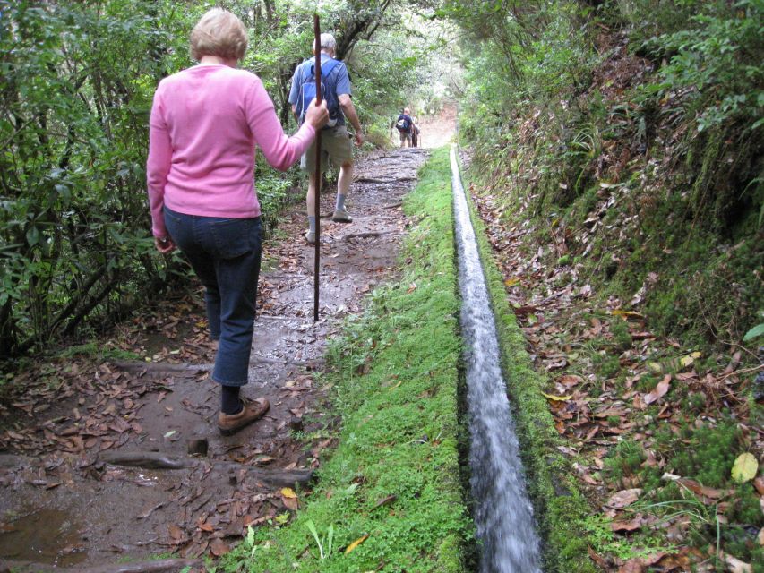 Ribeiro Frio / Portela Full Day Hike - Fauna and Flora Observation