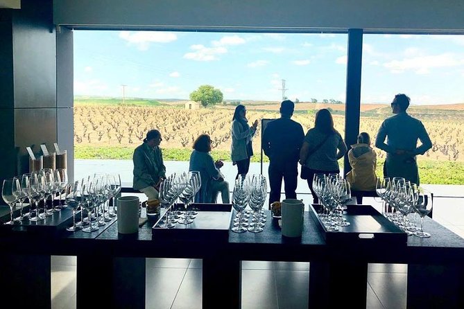 Ribera Del Duero Winery Guided Tour and Wine Tasting From Madrid - Wine Tasting and Guide Excellence