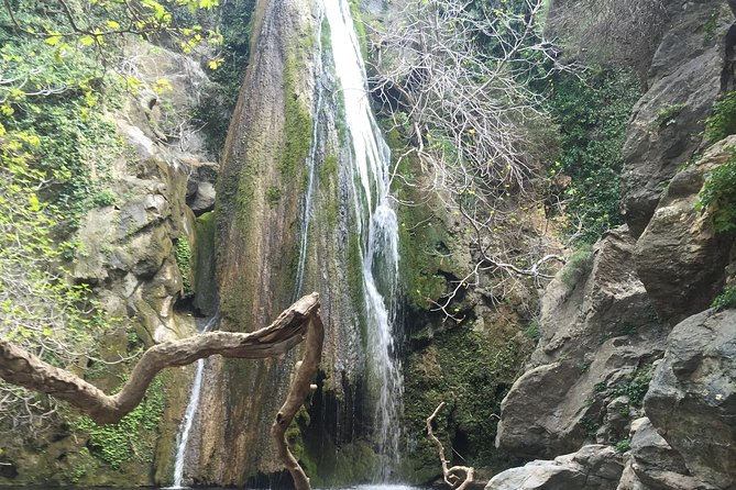 Richtis Waterfall, Minoan History, Oldest Tree, North Coast (Luxury Adventure) - Local Taverna Lunch: Culinary Delights