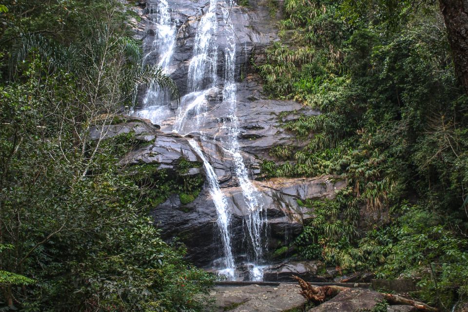 Rio De Janeiro: Tijuca Forest Waterfall of Souls Hike - Participant Information