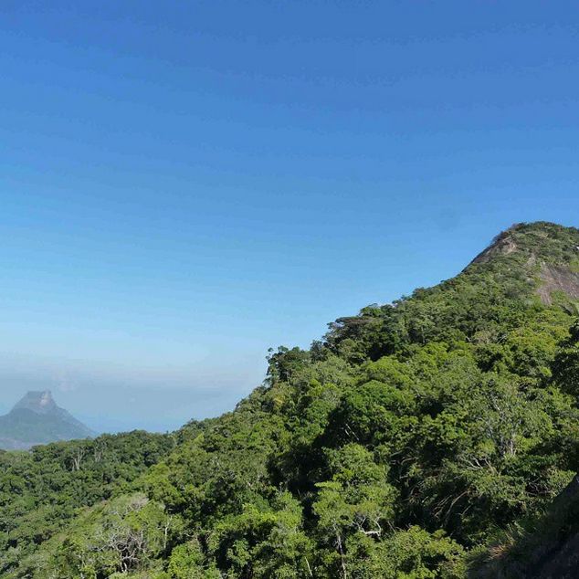 Rio De Janeiro: Tijuca Peak Guided Hike - Location and Details