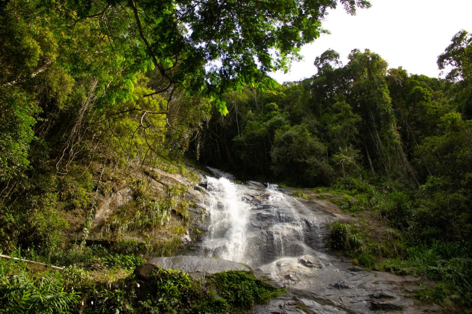 Rio: Half-Day Jeep Tour at Floresta Da Tijuca - Tour Description