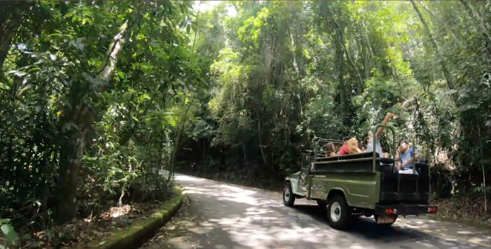 Rio: Jeep Tour to Botanical Garden and Tijuca Forest - Common questions