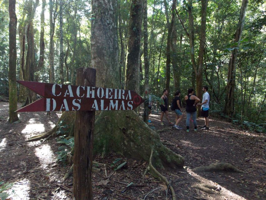 Rio: Tijuca Forest Historical Hike & Cachoeira Das Almas - Historical Remnants Discovery