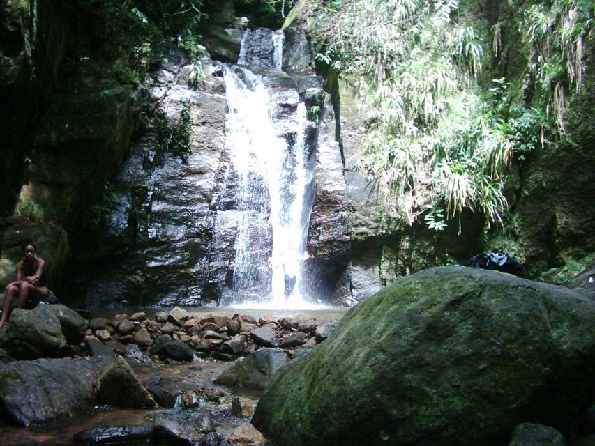 Rio: Tijuca Forest & Horto Waterfalls Circuit Tour - Tour Guide Information