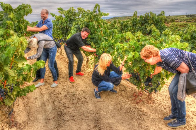 Rioja Alta and Rioja Alavesa Wine Tour - Tour Pricing and Inclusions