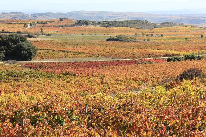 Rioja Wine Tasting Tour From San Sebastian - Pricing and Booking
