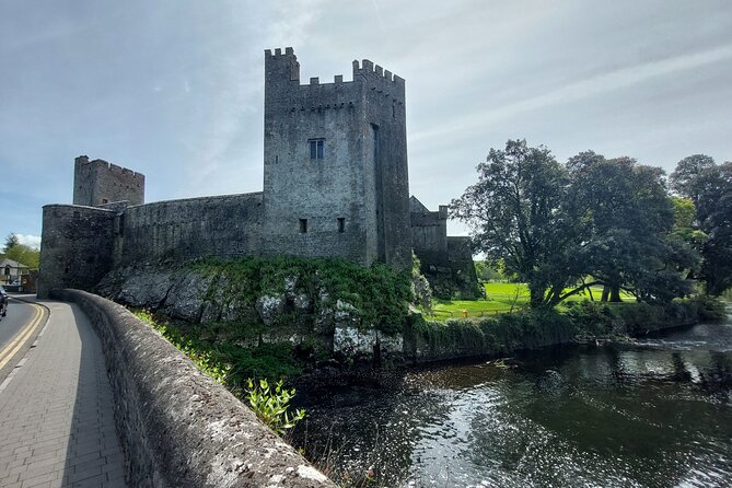 Rock of Cashel, Cahir & Blarney Castle Private Sightseeing Day Tour From Dublin - Accessibility and Services