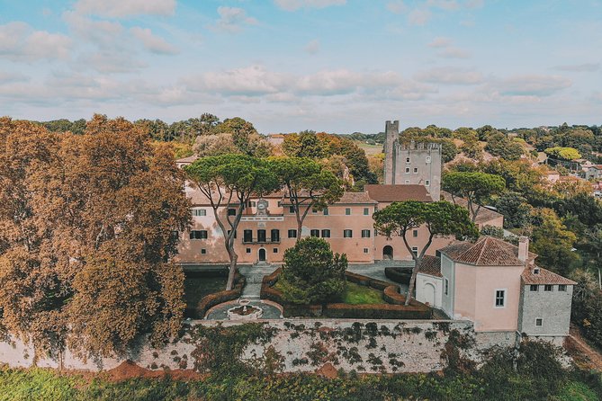 Roman Countryside Food & Wine Tasting in a Medieval Winery - Recommendations for Visitors