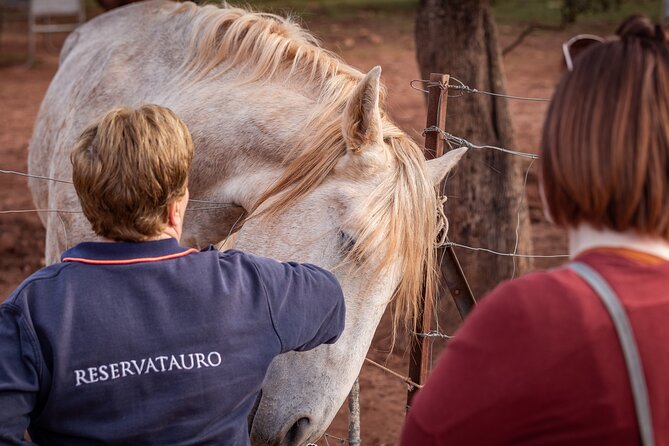 Ronda Reservatauro Guided Tour - Bullfighting and Horse Breeding Insights
