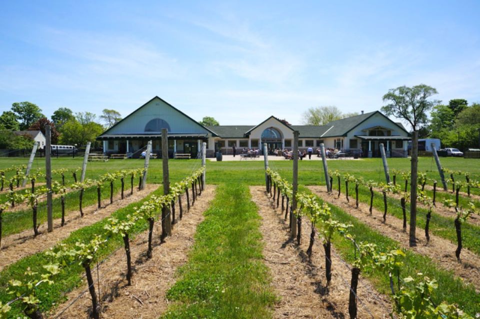 Ronkonkoma: North Fork Long Island Wine Tasting and Lunch - Last Words