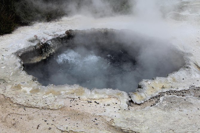 Rotorua and Waitomo Caves Day Trip From Auckland -Smaller Groups - Guide Insights and Recommendations