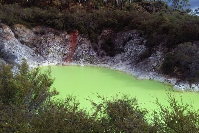 Rotorua Day Trip From Auckland With Options - Smaller Groups - Positive Aspects