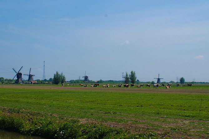 Rotterdam Private Guided Bike Tour of Kinderdijk (Mar ) - Traveler Options and Add-Ons