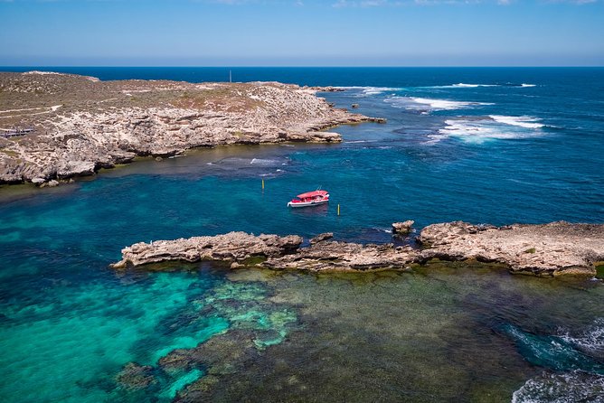 Rottnest Island From Perth or Fremantle With Wildlife Cruise (Mar ) - Customer Feedback