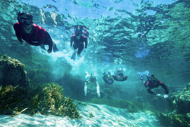 Rottnest Island Guided Snorkel Boat Experience - Logistics and Additional Information