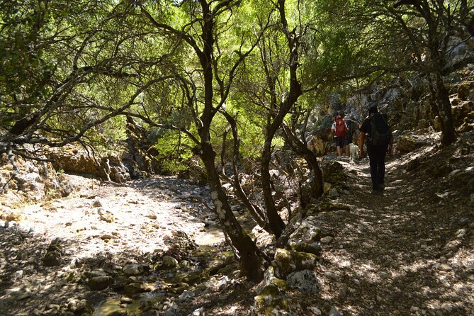 Rouvas Gorge Trekking Experience From Heraklion (Mar ) - Safety Measures and Protocols