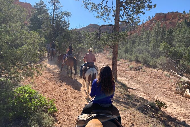 Rubys Horseback Adventures Utah Half Day Ride - Cancellation Policy Details