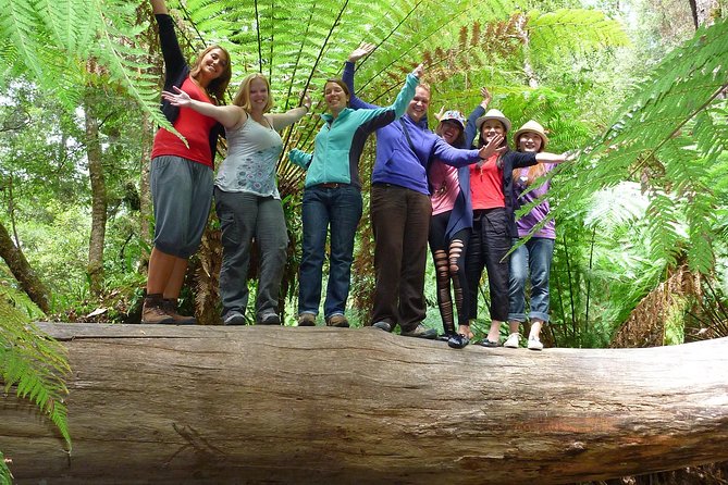 Russell Falls, Mt. Wellington & Tassie Devils Active Day Tour From Hobart - Tour Guide Expertise