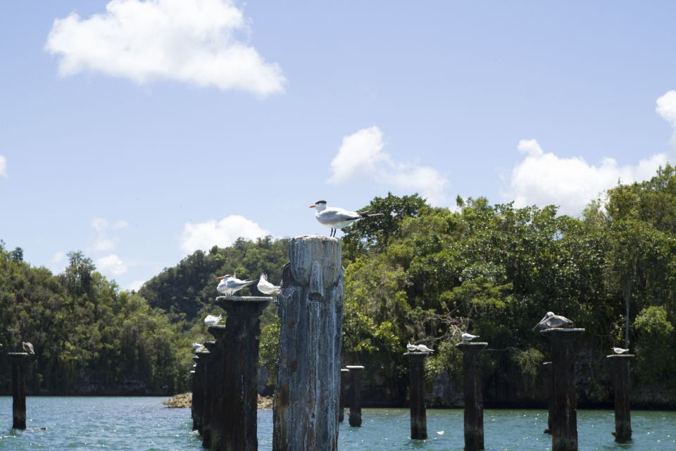 Sabana De La Mar: Los Haitises Park Bird-Watching Tour - Location Information