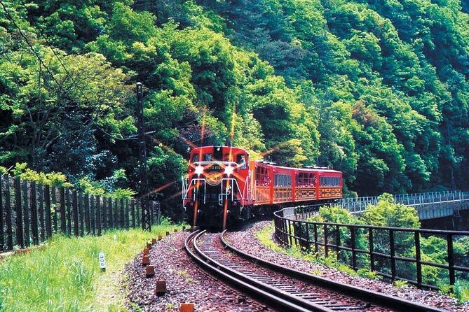 Sagano Romantic Train & Arashiyama, Kiyomizudera, Fushimi Inari Taisha Day Tour - Traveler Feedback