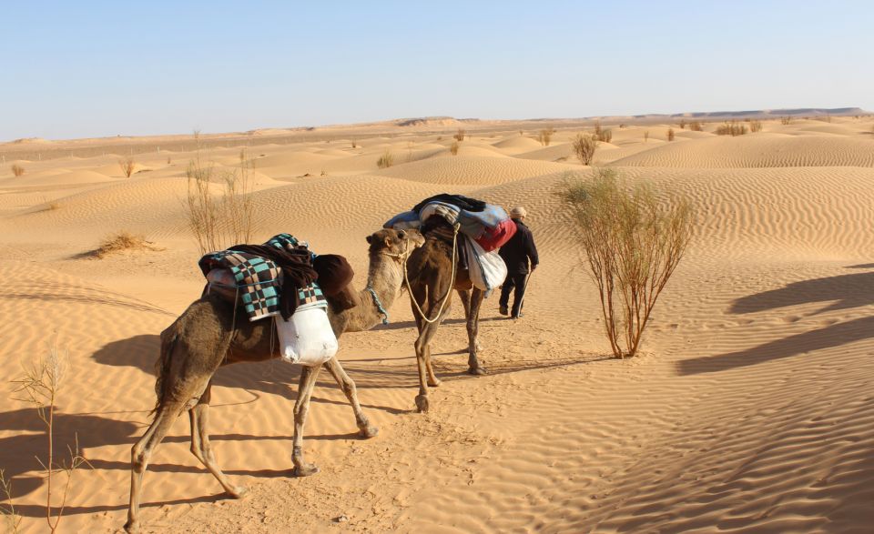 Sahara Desert: 2-Day Tour With Food and a Night in a Tent - Flexibility and Modifications