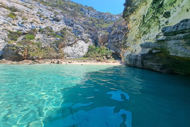 Sail Ibiza Formentera Enjoy a Swim in Paradisiacal Coves - Last Words