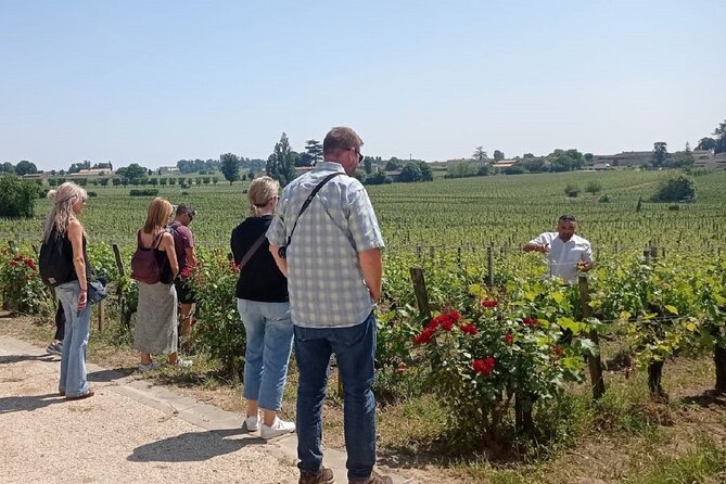 Saint-Emilion Morning Wine Tour, Winery & Tastings From Bordeaux - Reviews & Recommendations
