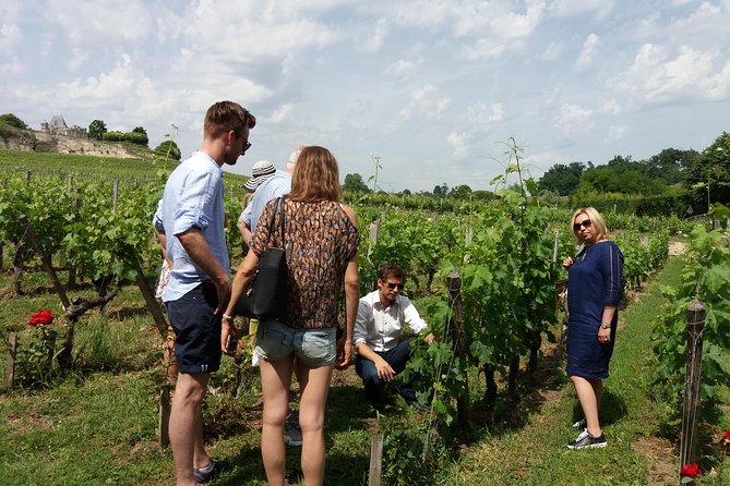 Saint Emilion Wine Tour Half Day - Tour Details