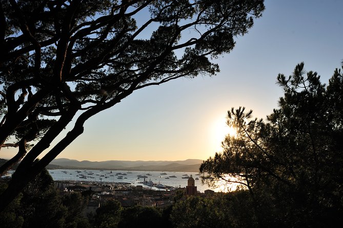 Saint-Tropez and Port Grimaud Day From Nice Small-Group Tour - Customer Experience