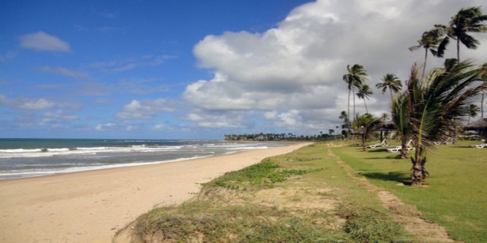Salvador: Praia Do Forte and Guarajuba Beach Day Trip - Additional Information