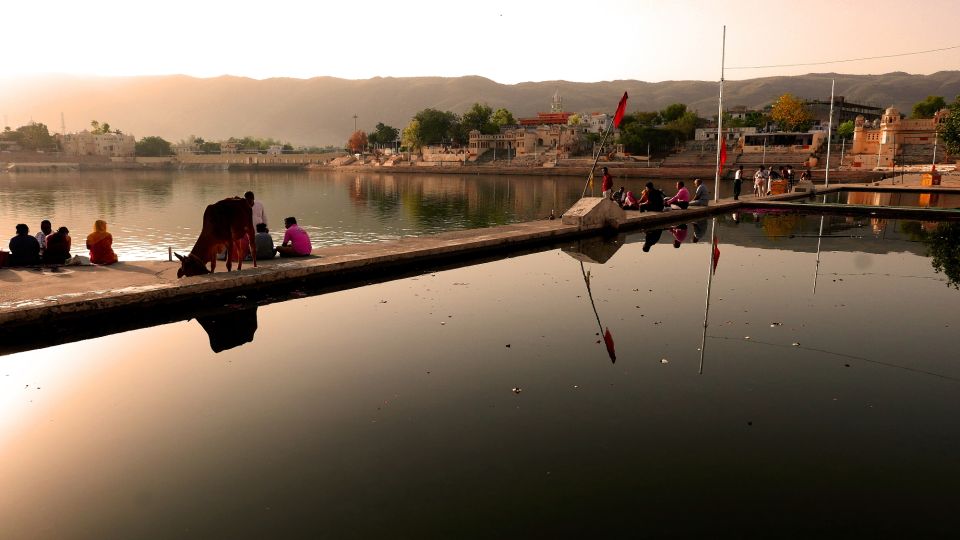 Same Day Temples Tour of Sacred City Pushkar From Jaipur - Additional Insights