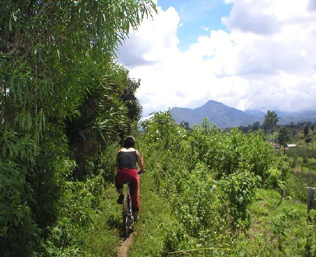 San Andrés Itzapa Half-Day Mountain Bike Tour - Customer Review