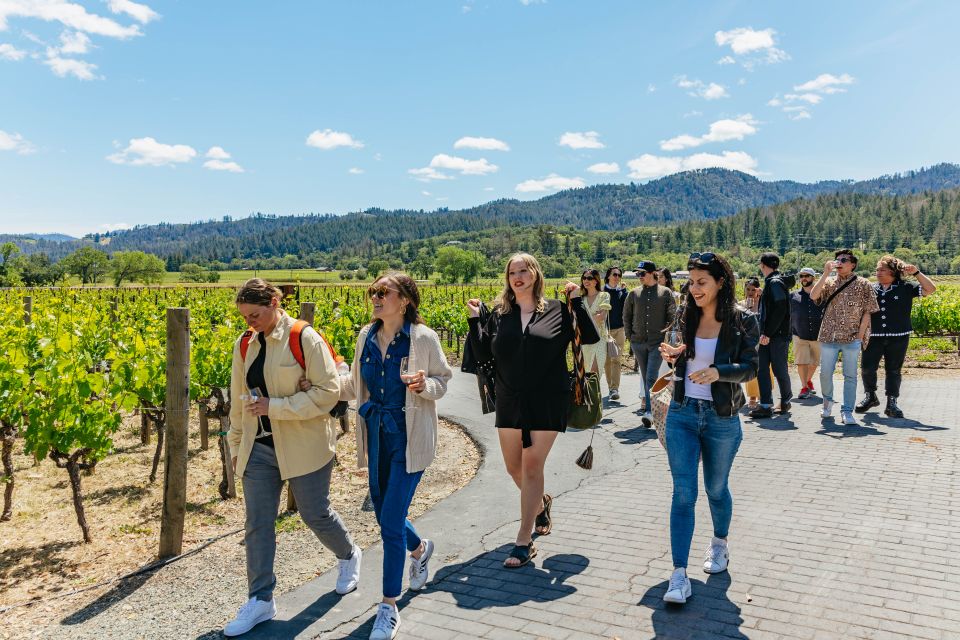 San Francisco: Luxury Small-Group Wine Tour of Napa Valley - Tour Experiences