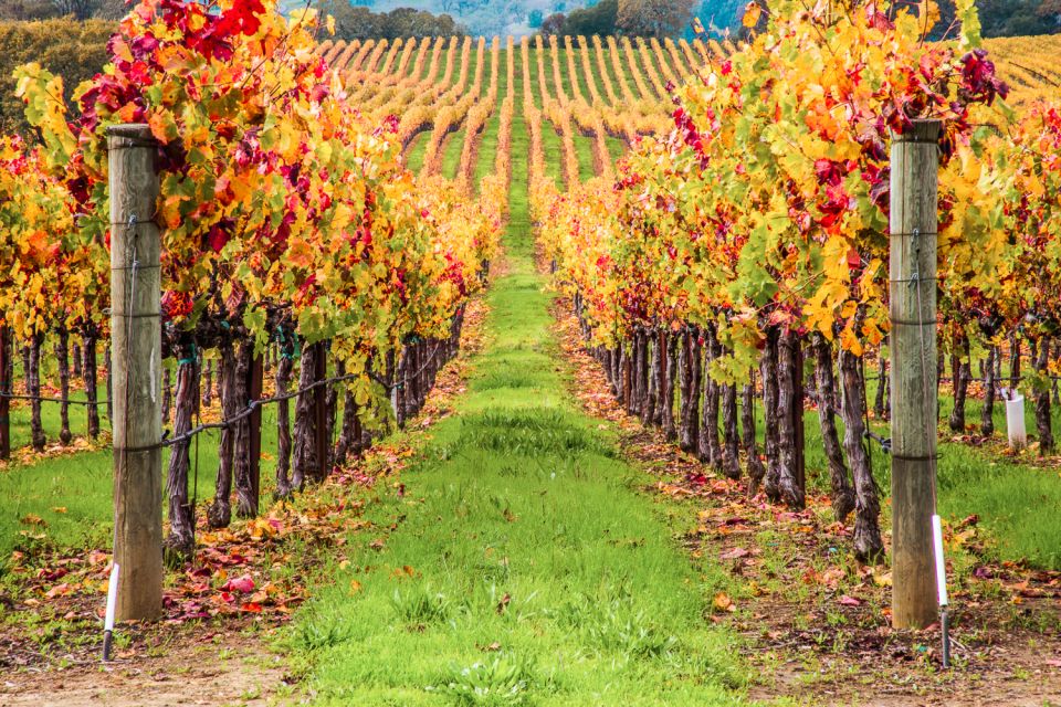 San Francisco: Small-Group Sonoma Wine Tour With Tastings - Inclusions