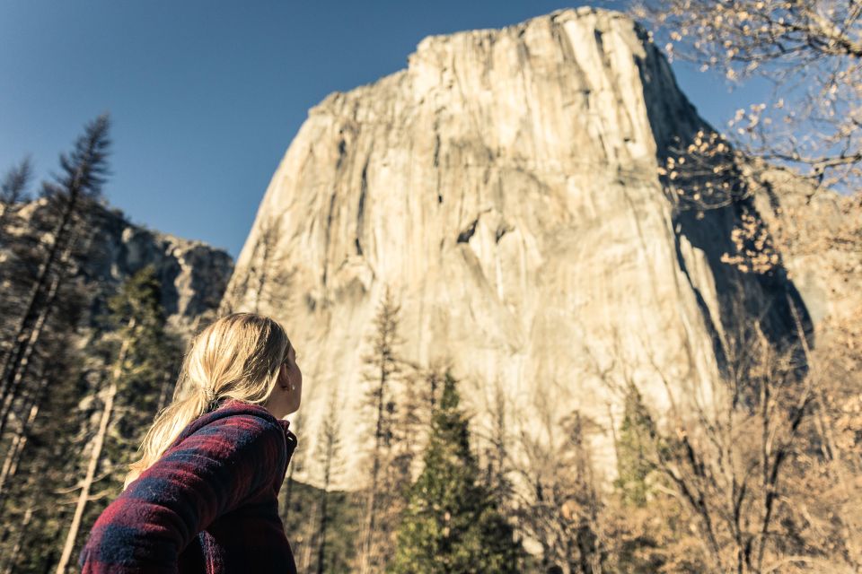 San Francisco To/From Yosemite National Park: 1-Way Transfer - Customer Reviews and Ratings