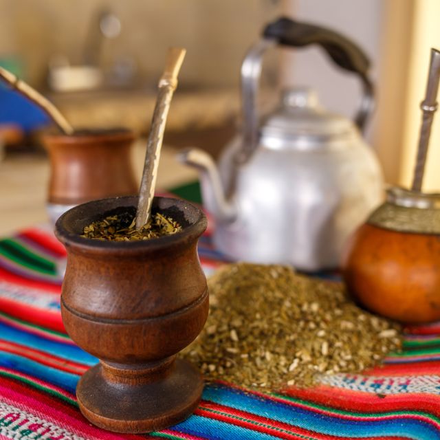 San Martin Park in Mendoza: Pic Nic With Mate Tasting - Unique Features