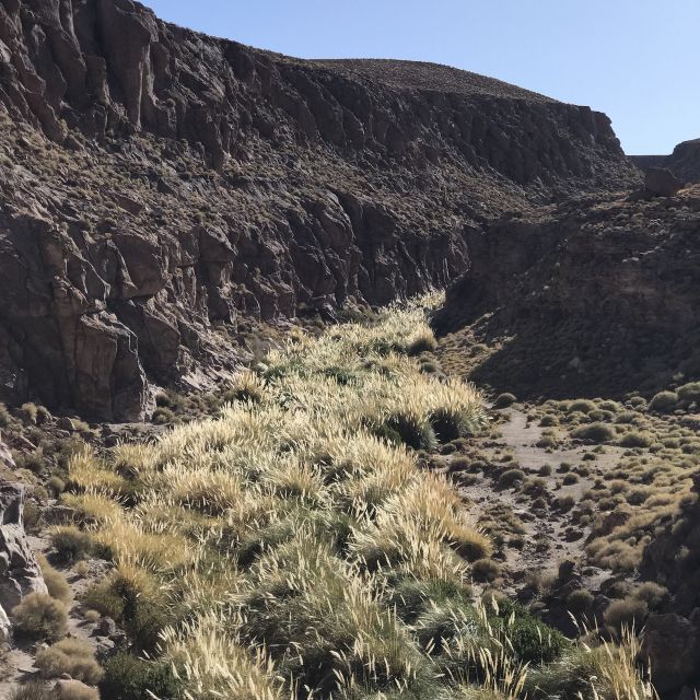 San Pedro De Atacama: Canyon Swimming Pools Trekking Trip - Additional Information