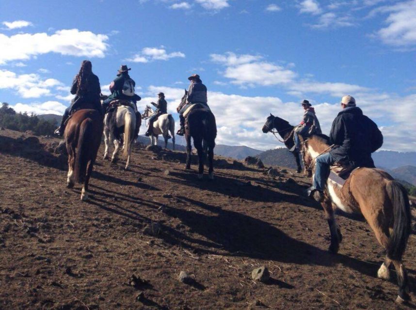 Santiago: Half-Day Private Andean Foothills Horseback Riding - Hotel Pickup and Transportation Details