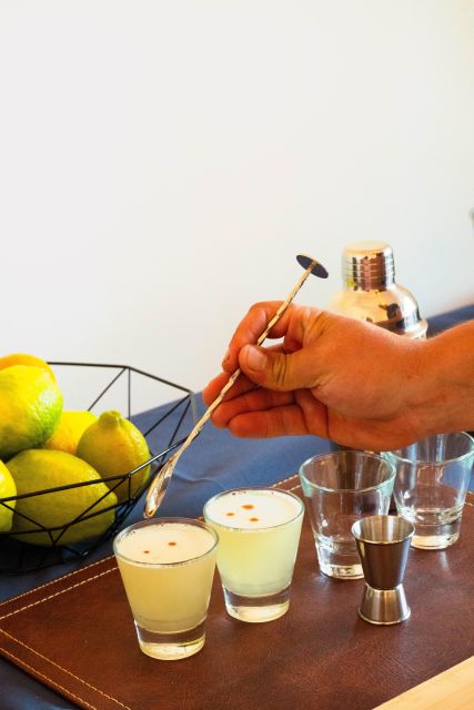 Santiago: Pisco Sour Class With Tastings - Customer Interaction