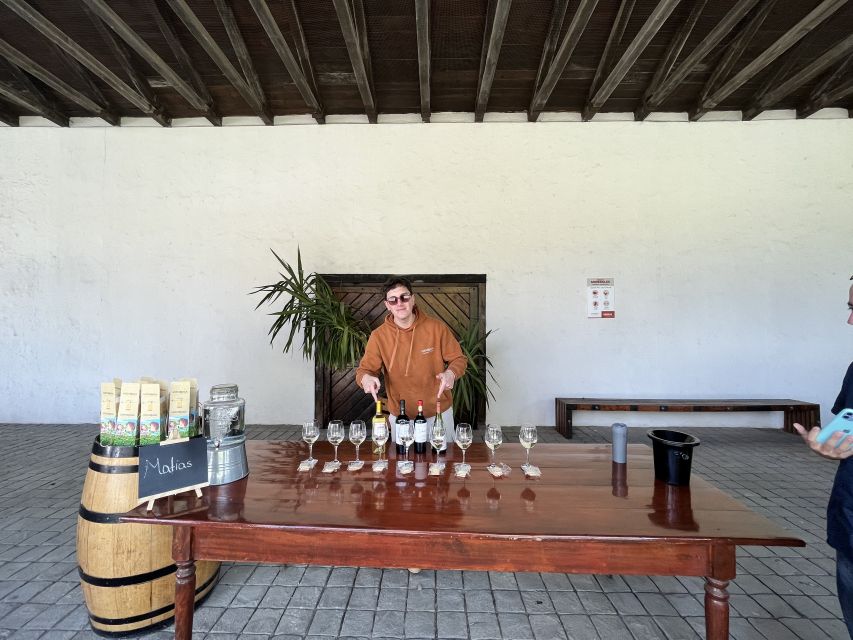 Santiago: Undurraga Winery Tour With Entry and Wine Tasting - Last Words