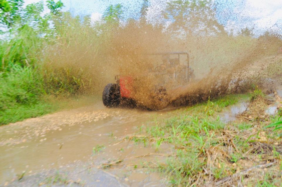 Santo Domingo: Dune Buggy Cumayasa With River & Beach - Booking Information