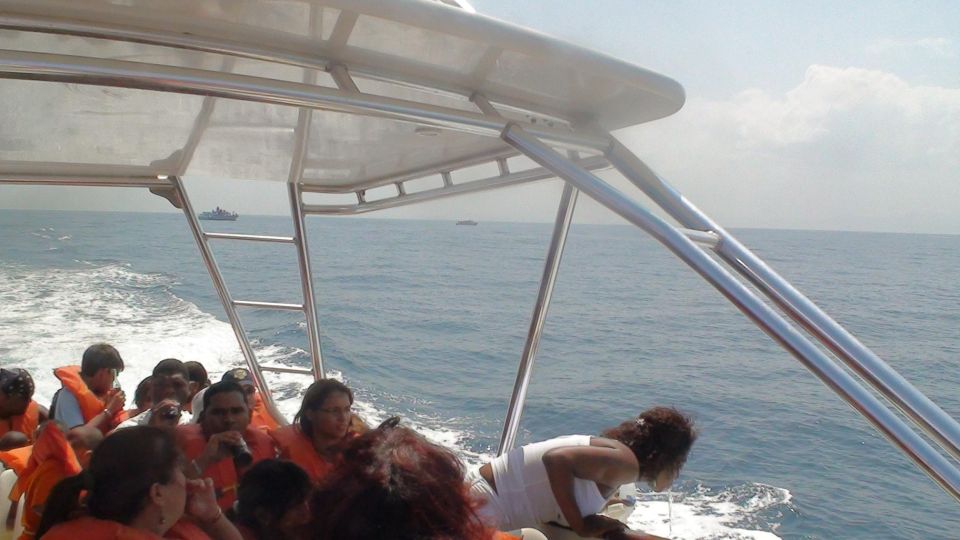 Santo Domingo: Whale Watching and Barcadi Island Full Day - Barcadi Island Visit