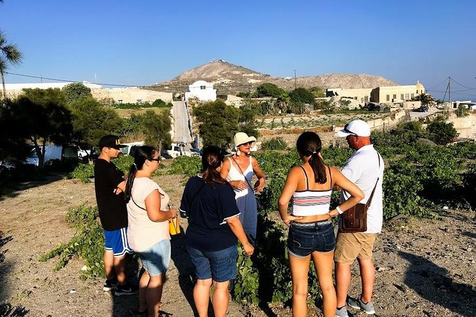 Santorini Half Day Wine Tasting & Winery Tour With Pickup - Reviews and Recommendations