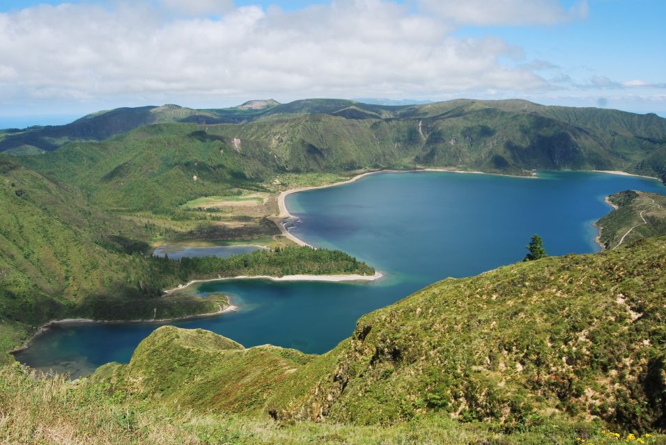 São Miguel: Whales & Volcano Full-Day Tour With Lunch - Review Summary