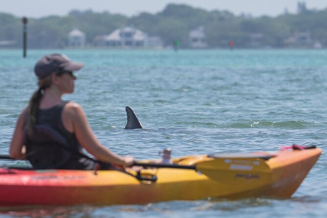 Sarasota Mangroves Kayaking Small-Group Tour (Mar ) - Reviews and Recommendations